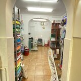 Drumul Taberei, Compozitorilor